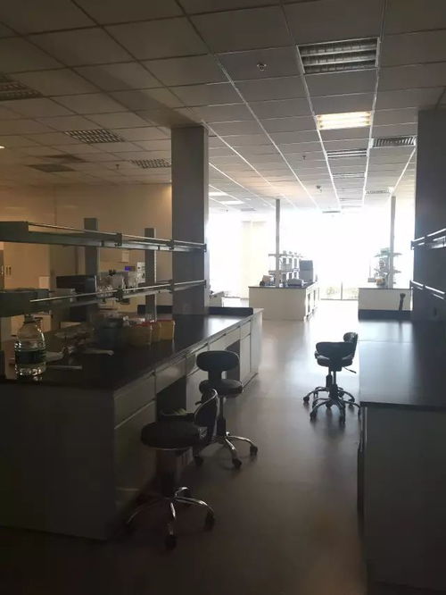 從戀愛到二胎都能測，消費(fèi)級基因檢測靠譜嗎？