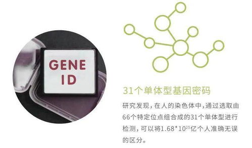 華大基因安馨可基因檢測系列產(chǎn)品全新上市，開啟精準(zhǔn)健康管理新時代