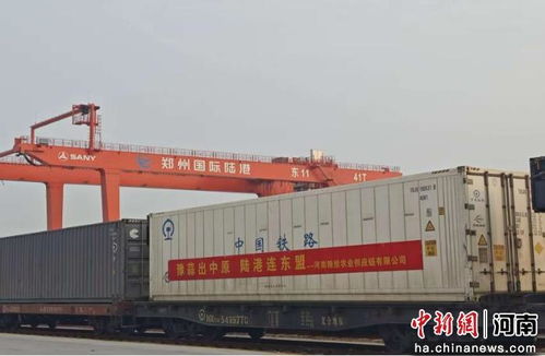 河南優質農產品首次搭乘中老鐵路班列直抵東盟 貨物運輸的里程碑與未來潛力